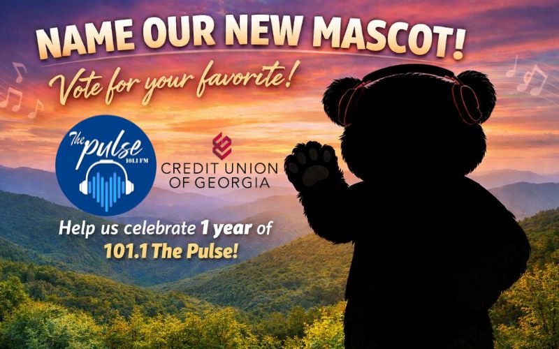Name The Pulse Mascot