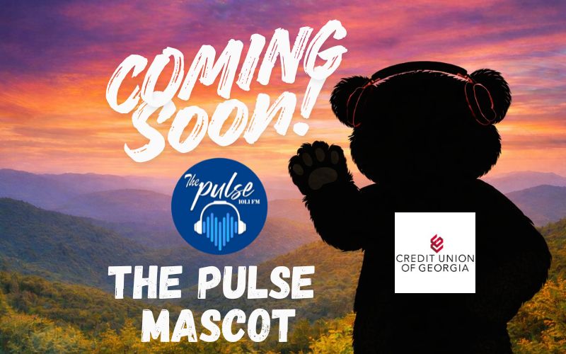 Coming Soon: The Pulse Mascot